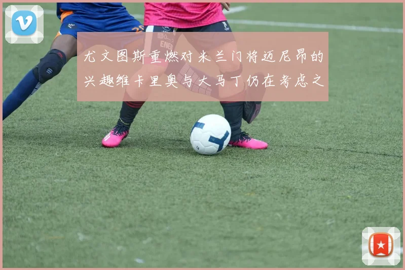 尤文图斯重燃对米兰门将迈尼昂的兴趣维卡里奥与大马丁仍在考虑之中